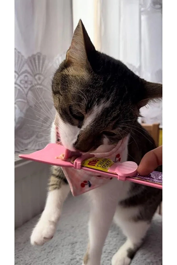 Kedi/köpek Krema Ödül Maması Yedirme Kaşığı
