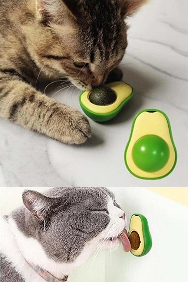 Catnipli Yenilebilir Kedi Nanesi Otu Oyun Topu Oyuncağı