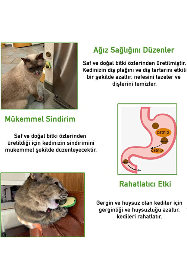 Catnipli Yenilebilir Kedi Nanesi Otu Oyun Topu Oyuncağı