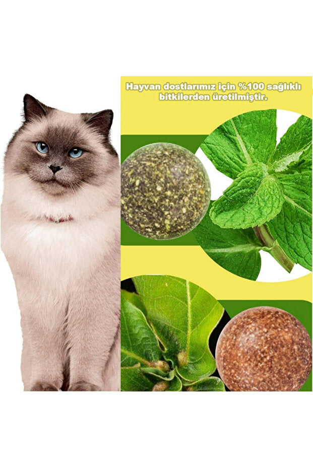 Catnipli Yenilebilir Kedi Nanesi Otu Oyun Topu Oyuncağı