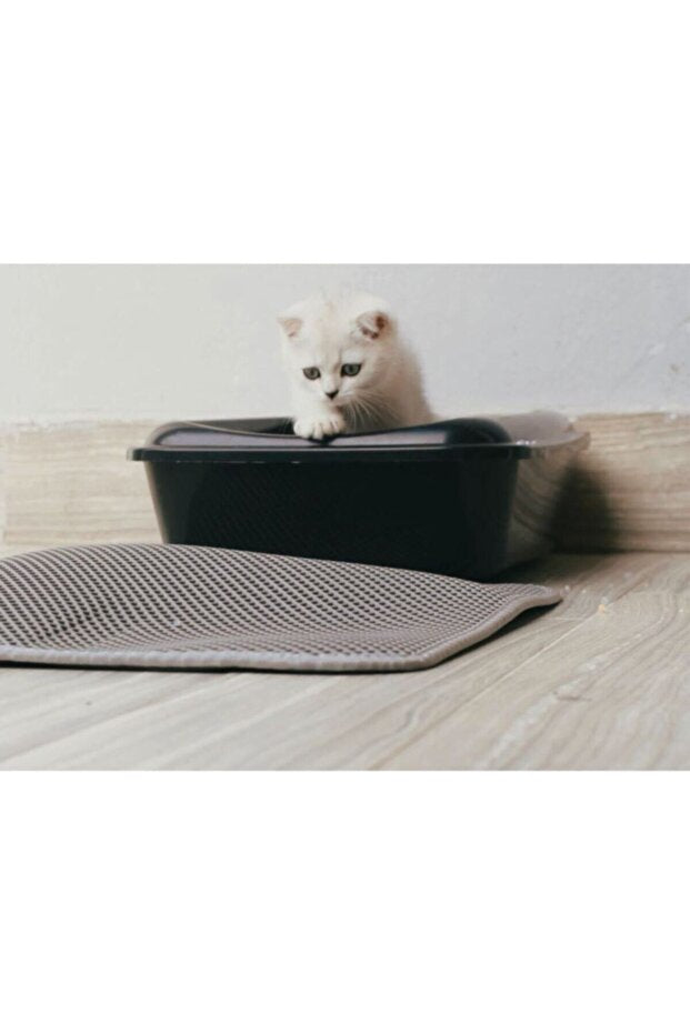 Elekli Kedi Tuvalet Önü Kedi Kum Paspası 1. Sınıf Materyal 40x60