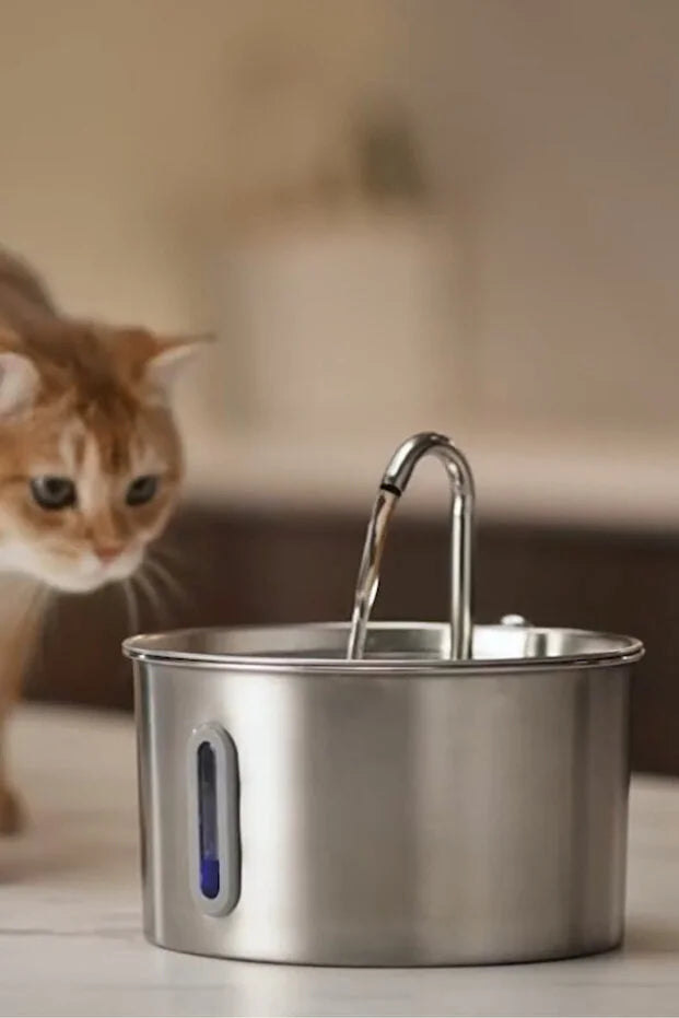 Pawvia Akıllı Otomatik Kedi - Köpek Su Kabı