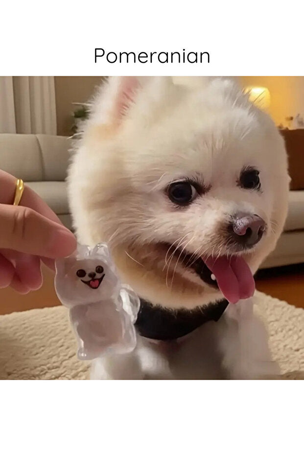 Pawvia Anı Anahtarlığı