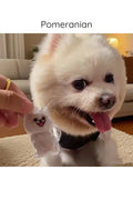 Pawvia Anı Anahtarlığı