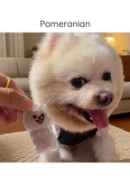 Pawvia Anı Anahtarlığı