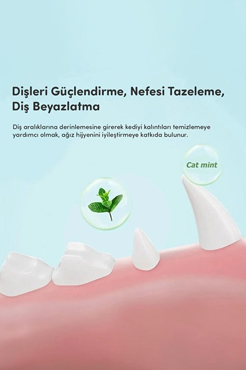 Catnipli Yenilebilir Kedi Nanesi Otu Oyun Topu Oyuncağı