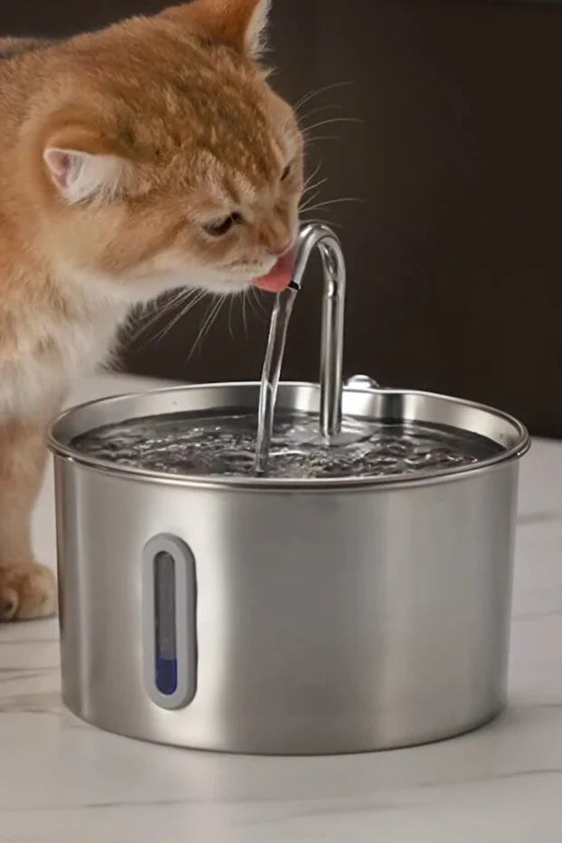 Pawvia Akıllı Otomatik Kedi - Köpek Su Kabı