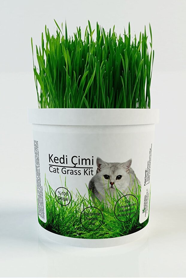 PawviaGrow Kedi Çimi Yetiştirme Kiti