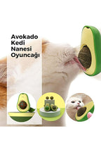 Catnipli Yenilebilir Kedi Nanesi Otu Oyun Topu Oyuncağı