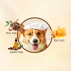 Pawviam Evcil Hayvan Temizlik ve Bakım Eldiveni