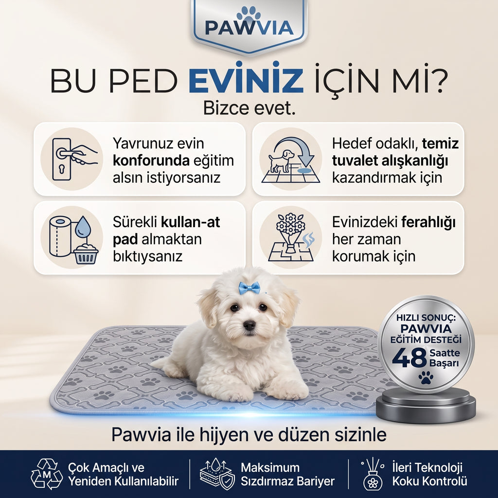 Pawvia Ultra Emici Koruyucu Ped