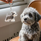 Pawvia Anı Anahtarlığı