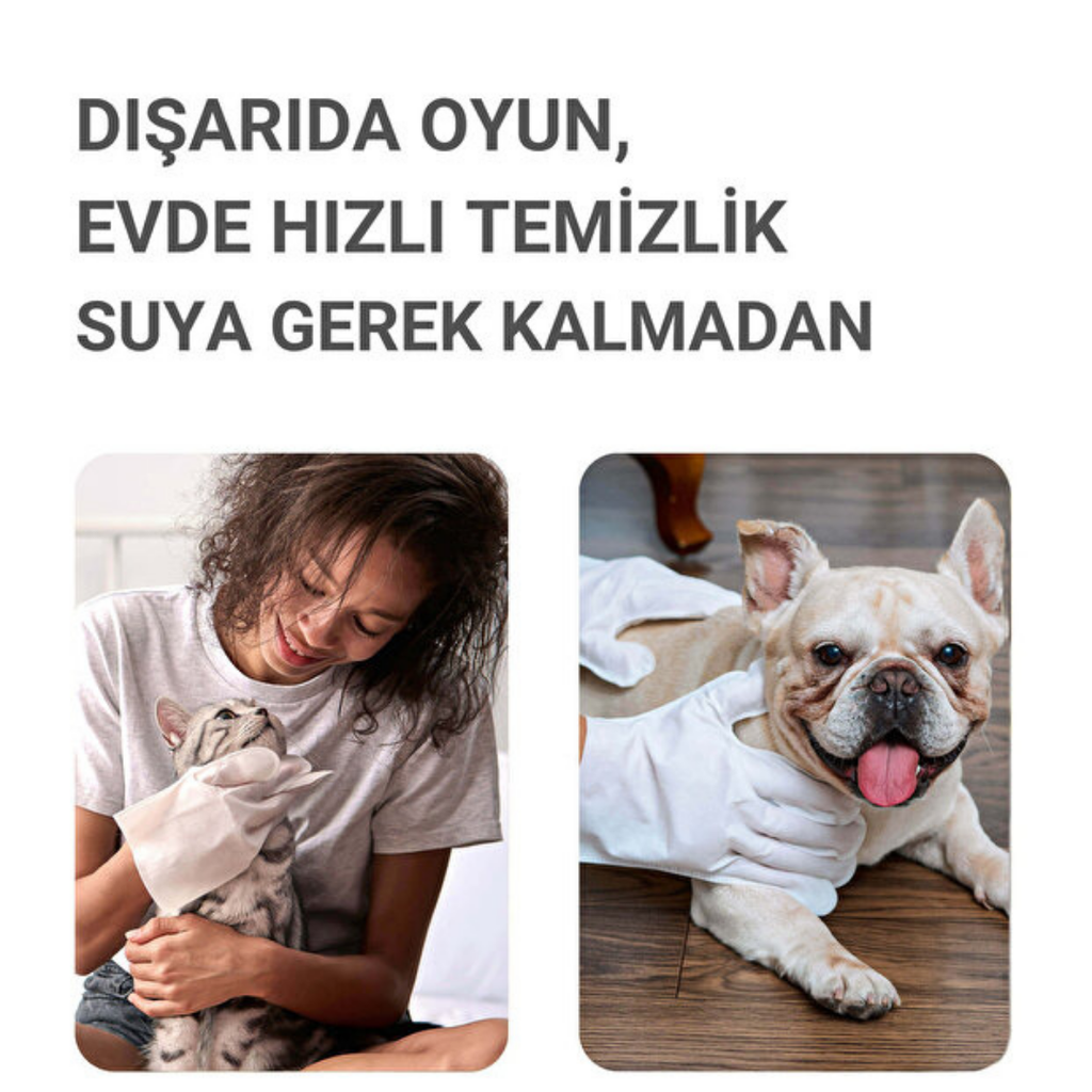 Pawviam Evcil Hayvan Temizlik ve Bakım Eldiveni