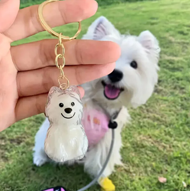 Pawvia Anı Anahtarlığı