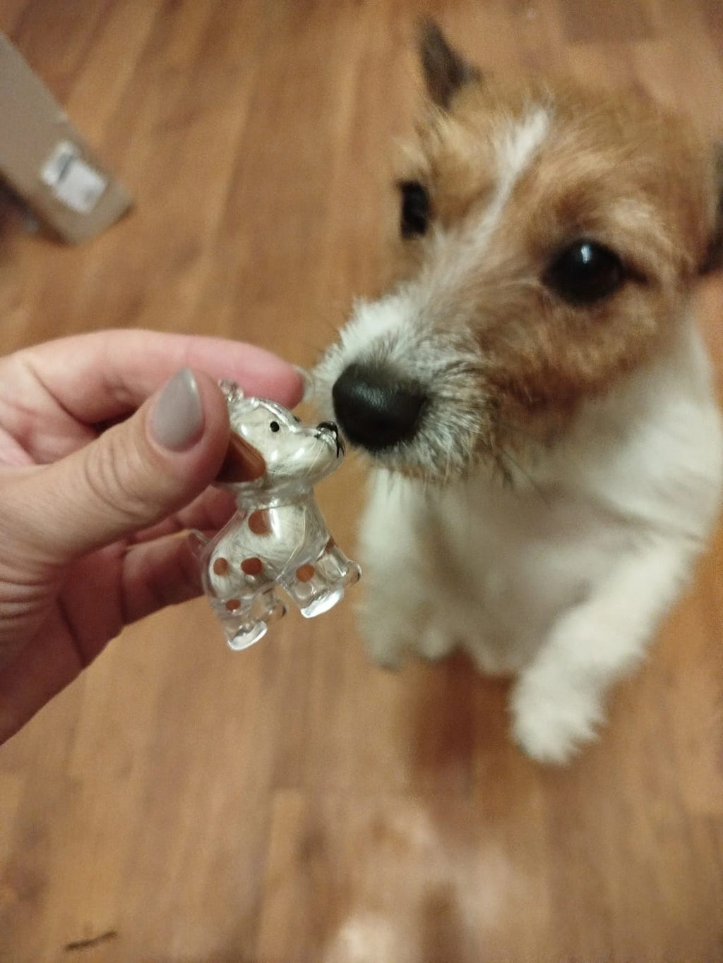 Pawvia Anı Anahtarlığı