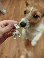 Pawvia Anı Anahtarlığı