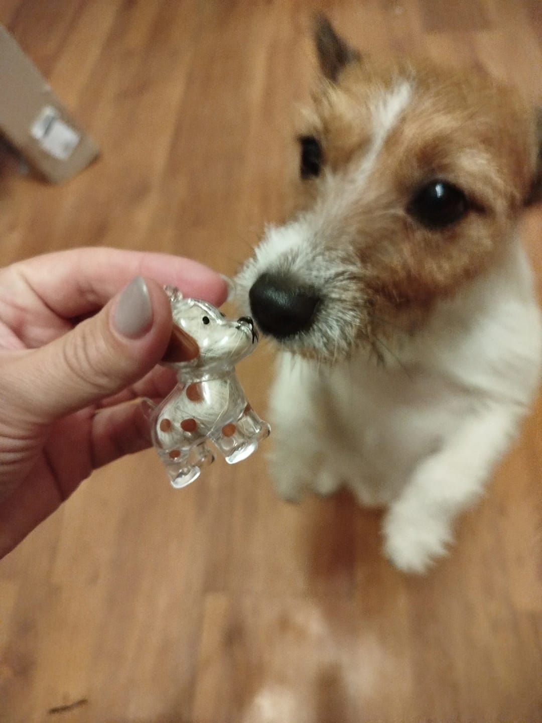 Pawvia Anı Anahtarlığı