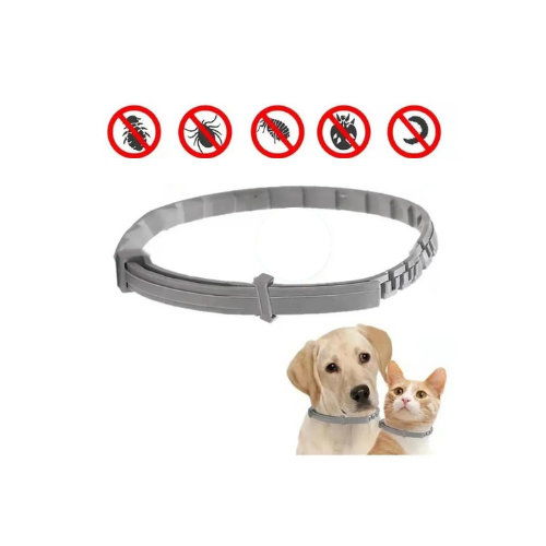 Pawvia- 8 Aya Kadar Koruma Sağlayan Köpekler İçin Tamamen Doğal Pire ve Kene Önleyici Tasma