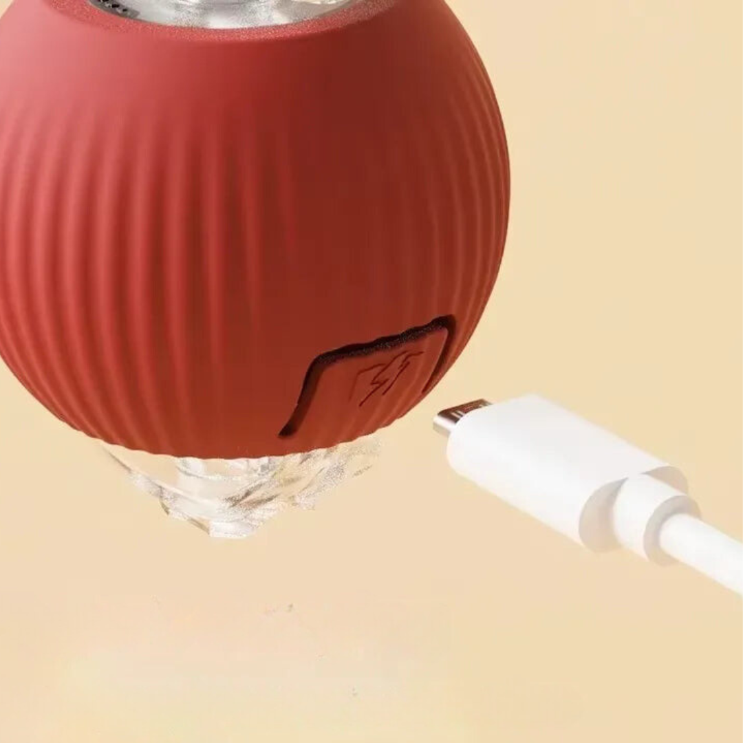 Pawball Işıklı Hareket Eden Top