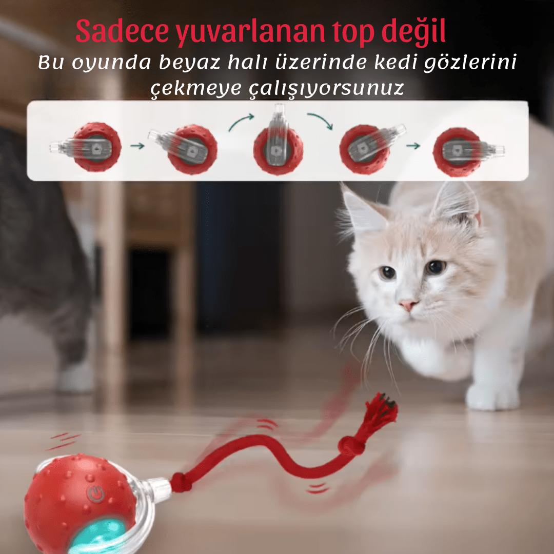 Pawball Işıklı Hareket Eden Top