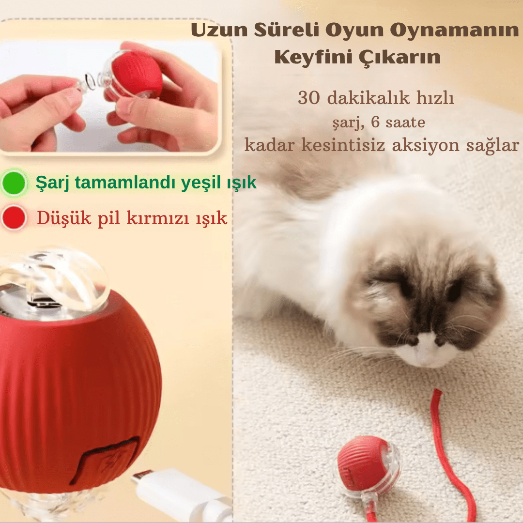 Pawball Işıklı Hareket Eden Top
